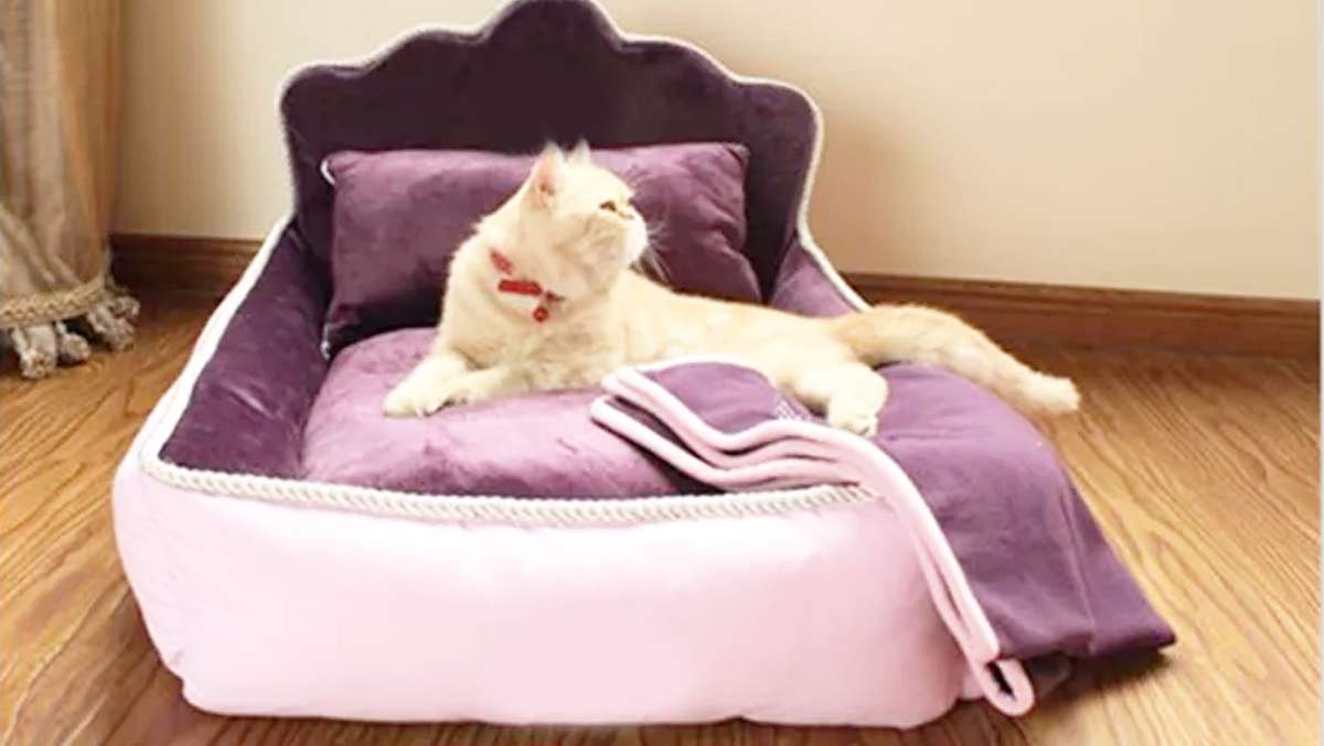 Подушки для кошек в Новосибирске